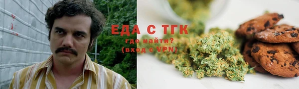 ПСИЛОЦИБИНОВЫЕ ГРИБЫ Заводоуковск