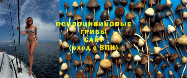 mdpv Заволжск