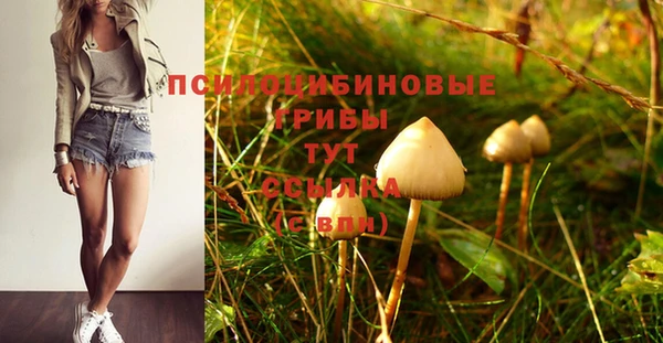 не бодяженный Заволжье