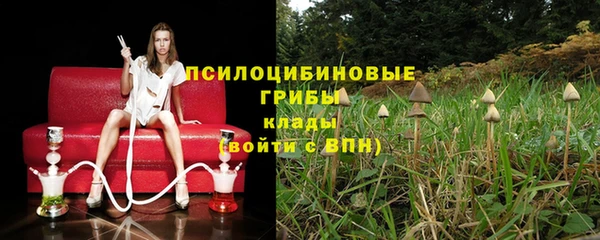mdpv Заволжск