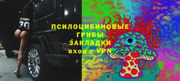 ПСИЛОЦИБИНОВЫЕ ГРИБЫ Заводоуковск