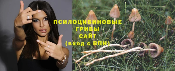 mdpv Заволжск