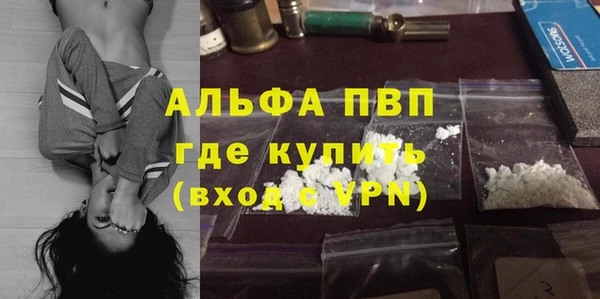 ПСИЛОЦИБИНОВЫЕ ГРИБЫ Заводоуковск