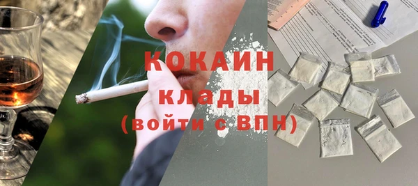 ПСИЛОЦИБИНОВЫЕ ГРИБЫ Заводоуковск