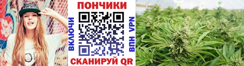 Купить  Ковылкино  Конопля семена 
